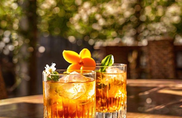 The glace abricot jasmin au vinaigre fruite 05967371 La Maison Des Grands Lacs