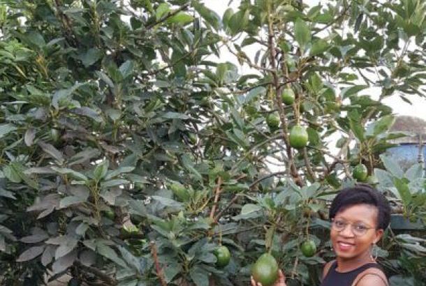 20200310 172336 scaled e1614265928784 400x300 1 c9fd6f34 La Maison Des Grands Lacs